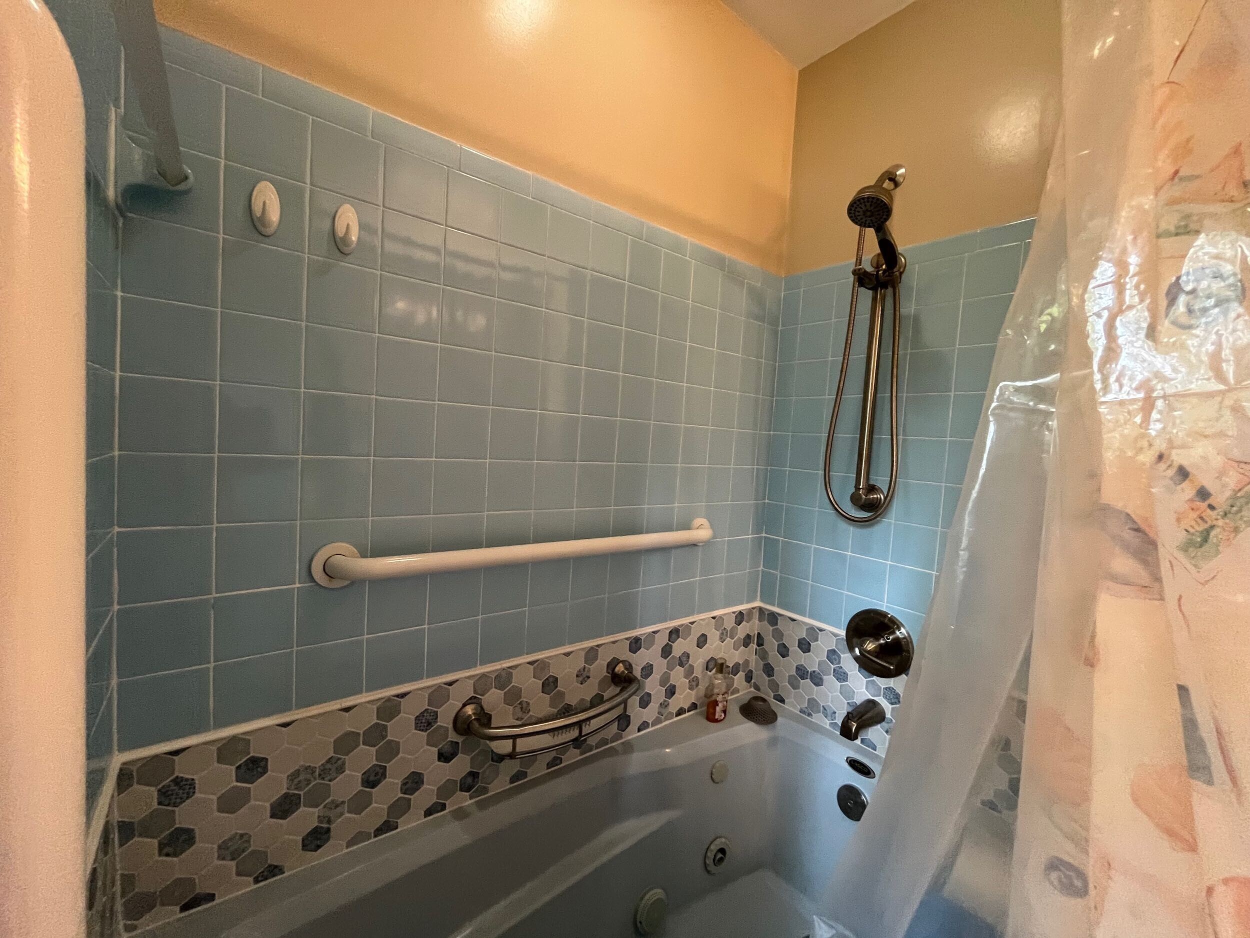Shower Before Renovation