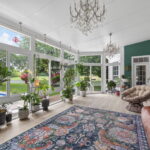 Indoor plants thriving inside climate-controlled 4-season sunroom in Chesapeake Virginia.