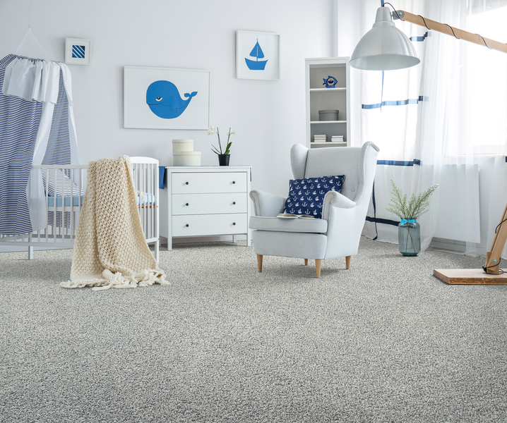 Phenix Flooring FloorEver Insight Carpet for your Home
