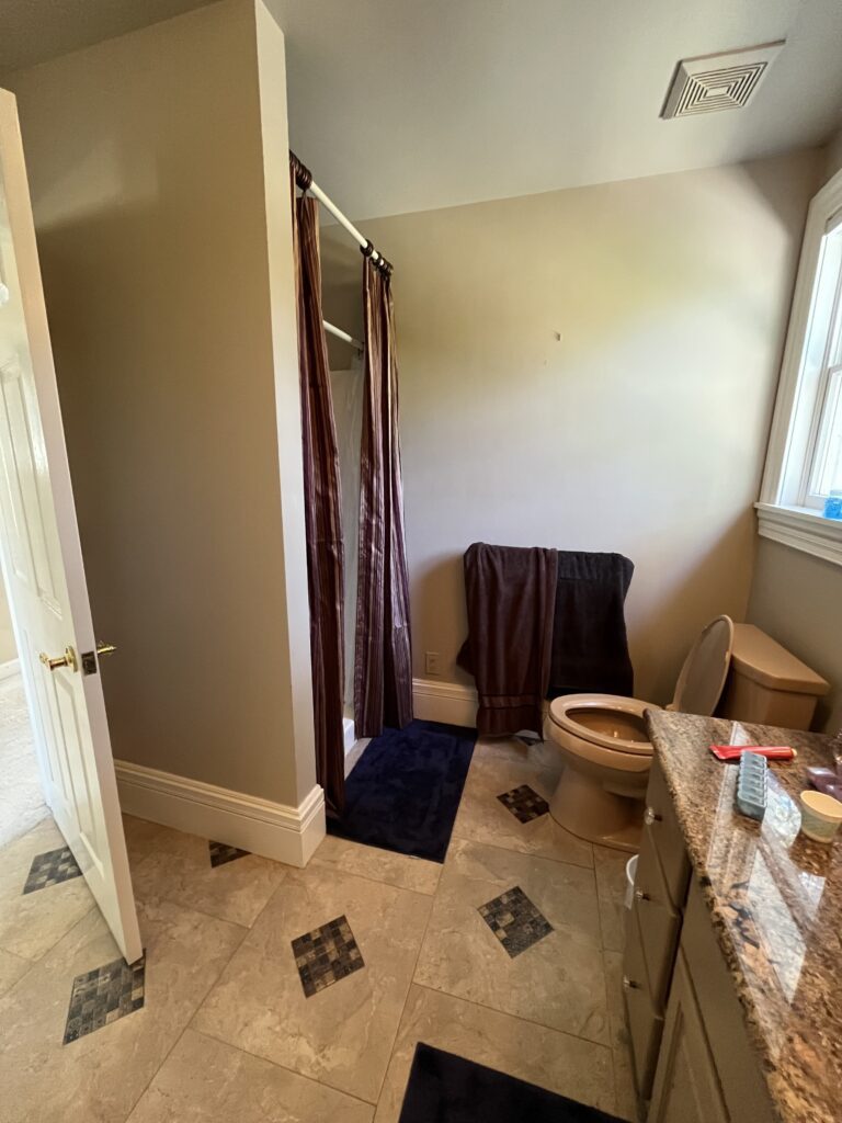 Guest Bathroom Before