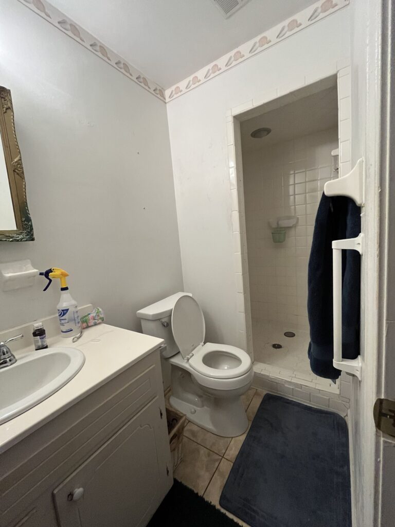 Bathroom Before Photo