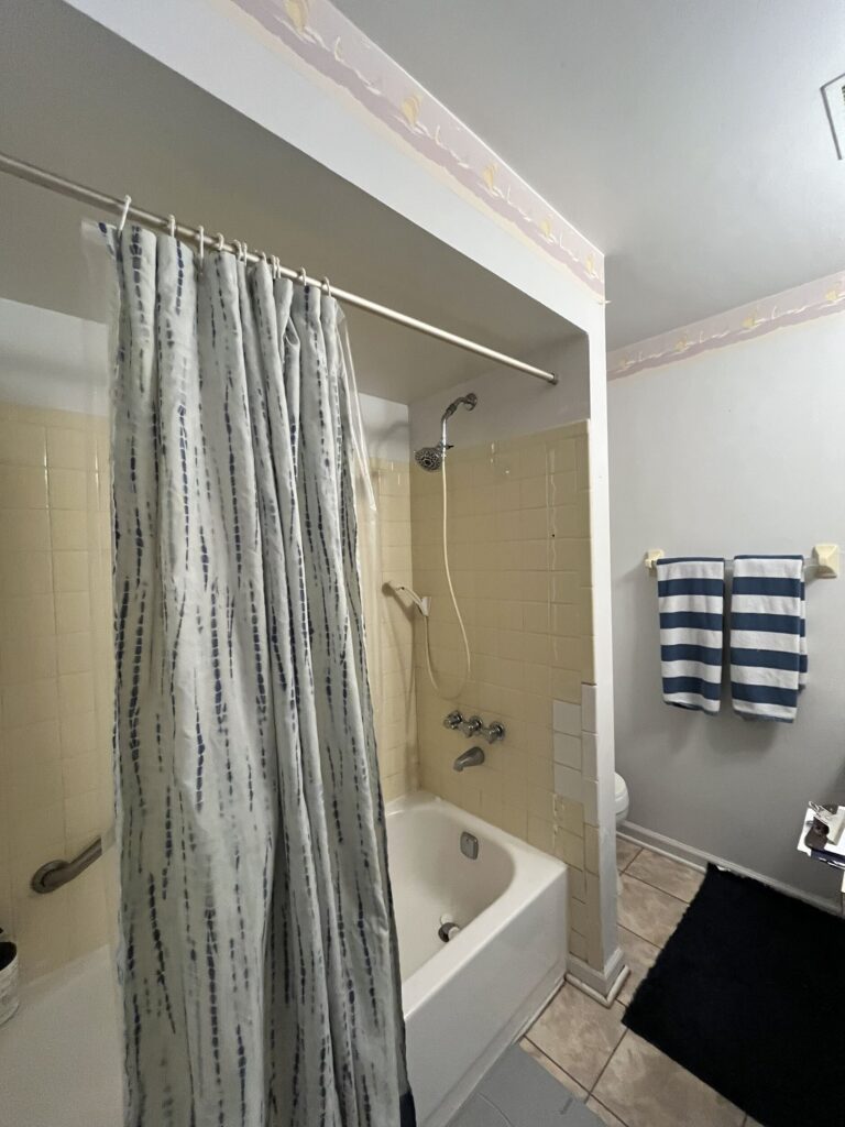 Bathroom Before