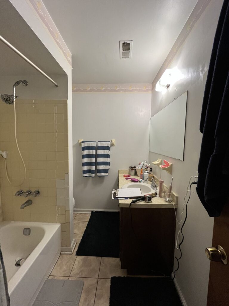 Bathroom Before