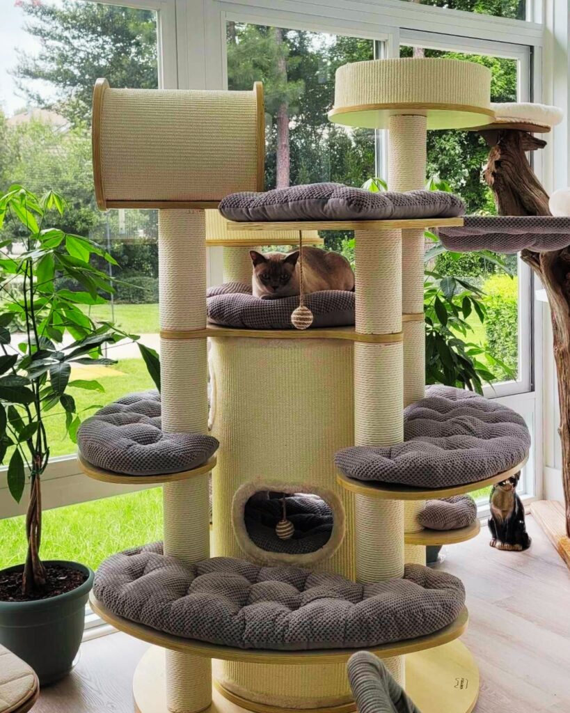 Cat living his best life in a Betterliving sunroom